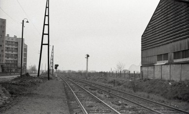 Z37956 - Antwerpen-Zuid - L. OOVAERTS, collection Thierri HEYLEN.jpg